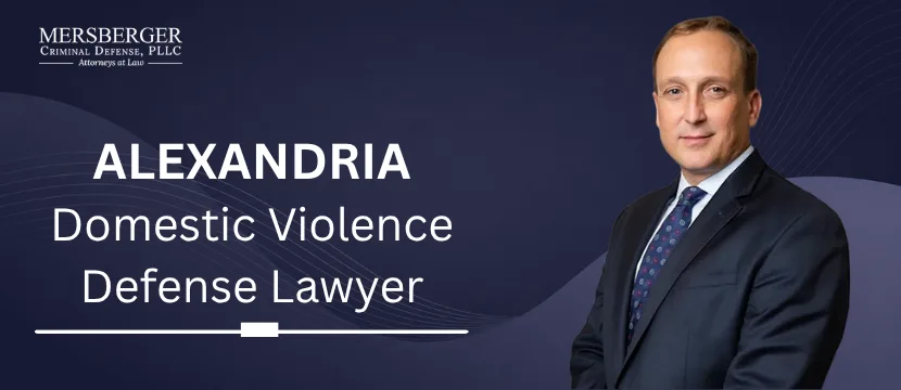 Alexandria Domestic Violence Defense Lawyer-image
